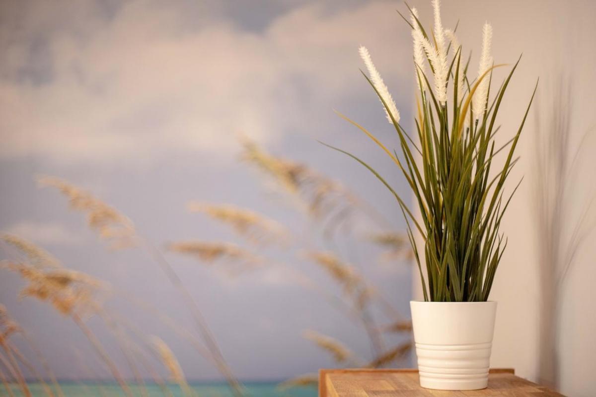-Malagasunapts- Stylish City Centre Pool&Parking Esterno foto